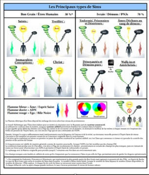 Les Différents Types de Sims